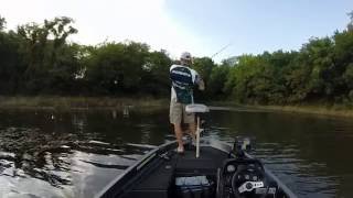 Topwater Bass Fishing with a Ribbit on Mozingo Lake [upl. by Essilec]