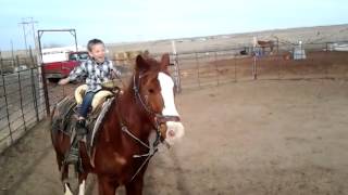 3 year old riding a horse like a pro [upl. by Martelle]