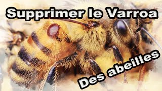 Comment supprimer le varroa de ses ruches  Apiculture apilife var [upl. by Shulem616]