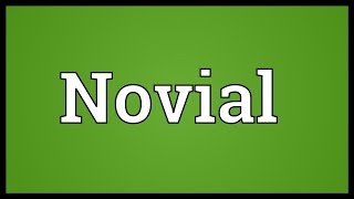 Novial Meaning [upl. by Ahsaek]