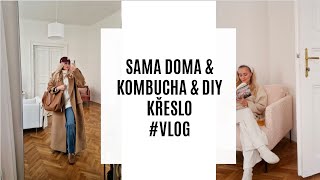 SAMA DOMA amp VYRÁBÍM KOMBUCHU amp DIY KŘESLO VLOG [upl. by Barb]