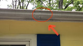 How To Repair Leaky Gutter [upl. by Enivid]