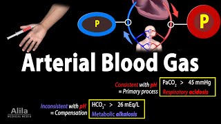 Arterial Blood Gas ABG Test Animation [upl. by Egres]