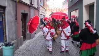 Laufenburg Großes Narrentreffen 2013 Teil 1 44 [upl. by Nuahsyt290]