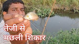 Pothiya machhali shikar ka live video  chara Aisa tha ki jaldi jaldi shikar ho gaya  Sundar bihar [upl. by Sacrod823]