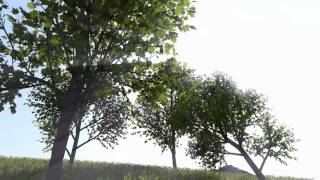 RealTime Rendering and Animation of Trees [upl. by Ballard]