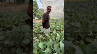 Be smart Do natural farming [upl. by Aneelak373]