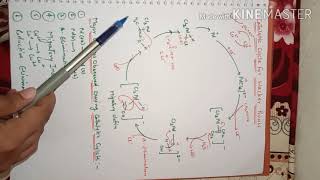 Oxidation of Olefins Wackers Process [upl. by Jovia648]