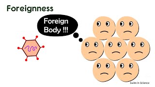 AntigensProperties of AntigensHaptensAdjuvantsProperties of host that contribute immunogenicity [upl. by Saxela]