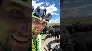 Day 10 on the Tour Divide bikepacking mtb bicycletouring [upl. by Alesiram]