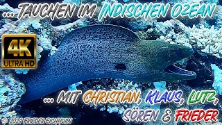 Tauchen im Indischen Ozean 🦞 🐟 🐠 [upl. by Grodin]