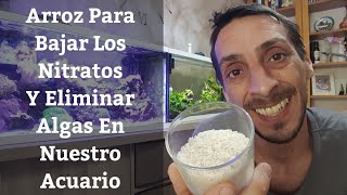 🔵 Usar Arroz En El Acuario Para Bajar Los Nitratos Y Eliminar Algas De Nuestra Pecera Acuarios MB [upl. by Osmond770]