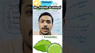 What is Stomata l Structure and Function of Stomata stomata biology neet2025 neet plants bio [upl. by Annavaj]