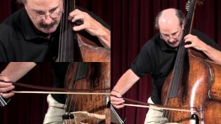 Mahler Symphony 1 double bass solo [upl. by Shishko613]