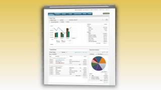 Overview Financial Management Tool for Small Businesses [upl. by Noled929]