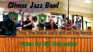 2016 Fresno Jazz Fest – Climax Jazz Band playing Black Cat on the Fence  Down Home Rag [upl. by Nitsreik]