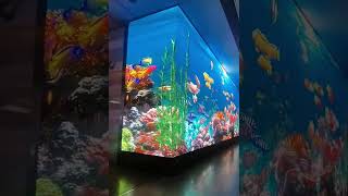 Creative LED Screens for Fish tank Decoration [upl. by Ameerahs]