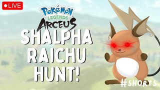 🔴 SHINY ALPHA RAICHU HUNT 150 checks  Live Stream  Pokémon Legends Arceus shorts [upl. by Merrilee]