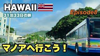 【HAWAII】マノアトレイルからの美味いポケ！20232024 31泊33日 Episode８その他普通の観光客が絶対行かないハワイ ＃ハワイ旅行 ＃ハワイvlog hawaii [upl. by Ennaeerb621]