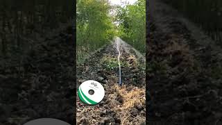 Irrigating Pigeon Pea Arhar  Tur using quotLaser Sprayquot  Rainpipe Rainhose [upl. by Datha868]