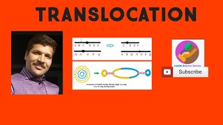 Translocation Structural change in chromosome [upl. by Jonna]