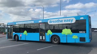 2190ST Transport Vlog 407 Busabout Interline amp Picton Buslines Campbelltown Bus Spotting [upl. by Pisarik]