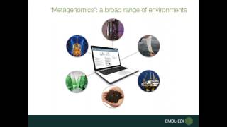 EBI Metagenomics analysing and exploring metagenomics data [upl. by Anohs]