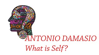 ANTONIO DAMASIO what is the Self [upl. by Morril937]