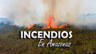 ALARMANTES INCENDIOS FORESTALES DEJAN SIN VIDA A MUCHOS ANIMALES SILVESTRES EN AMAZONAS [upl. by Raimondo]