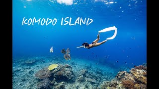 KOMODO ISLAND DIVING TOUR  Cinematic Diving Travel Video [upl. by Dazraf660]