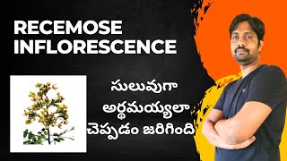 Types of Recemose Inflorescence  అనిశ్చిత పుష్పవిన్యాసం  Zoology 8 Marks Questions [upl. by Hanauq]