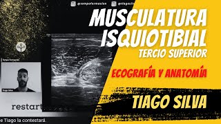 Musculatura isquiotibial tercio superior muslo  Ecografía y patología con Tiago Silva ecografia [upl. by Eenttirb668]