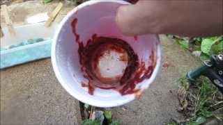 Cleaning a coin with Hot Sauce Experiment [upl. by Nealy]