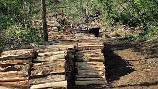 Le chantier avant bien 60 stère en 4 journée au bois boisdechauffage forestmen bucheron [upl. by Yenor621]