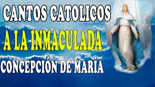 CANTOS PARA LA INMACULADA CONCEPCIÓN DE MARIA [upl. by Madelena]