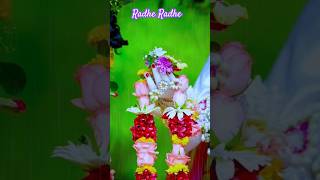 Kripa teri ho Jayee Radharani shorts ytshortsvideo vrindavan radheradhe madan [upl. by Roswell]