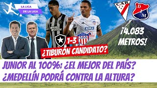 ¿El Fútbol de Junior vs Botafogo lo Hace Candidato ¿Medellín Podrá vs Always Ready LaLigaDeLaLiga [upl. by Eimar960]