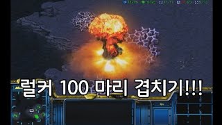 럴커 100마리를 겹쳐보았다 [upl. by Sikras]