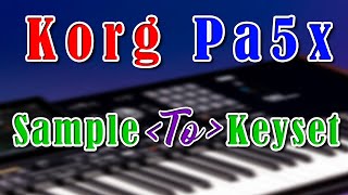 Korg Pa5x Sample to Keyset Video [upl. by Casmey]