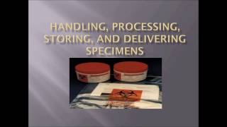 Handling Processing Storing and Delivering Specimens [upl. by Hras]