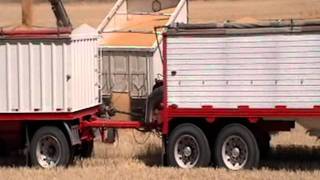 Wheat Harvest in the Palouse [upl. by Townie62]