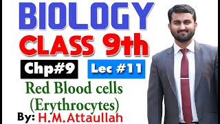 Red blood cells  Erythrocytes  Smart syllabus  Chapter 9  9th class Biology  Lec 11 [upl. by Erised]