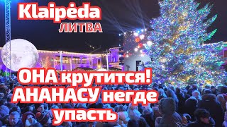 Klaipėda – зажжение ёлки quotнетлюдейquot больше чем на Празднике Моря ЛИТВА klaipėda [upl. by Baten]