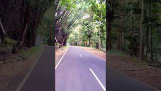 athirappillywaterfalls malakkapara roadtrip road ride forest thrissur kerala shorts short [upl. by Htiduy]