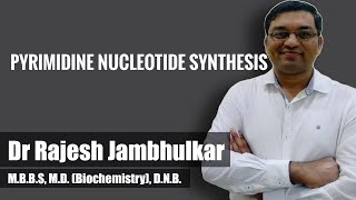 Pyrimidine nucleotide synthesis and degradation [upl. by Tybalt]