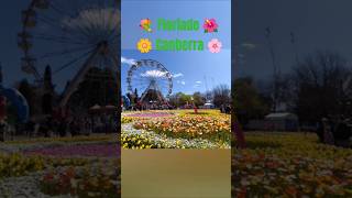 đź’ Floriade Canberra đźŚąđźŚ¸đźŚ»đź’đźŚ¸ [upl. by Zedekiah]