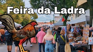 quotFeira da Ladra Adventures Discovering Lisbons Best Flea Market Findsportugal lisbon [upl. by Nollad399]