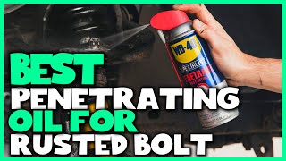 Best Penetrating Oil for Rusted Bolt in 2023  Top 6 Review [upl. by Rehpretsirhc910]