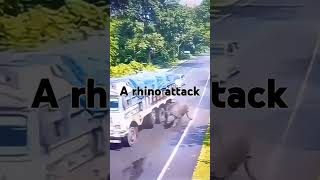 RHINO CHARGING A TRUCK [upl. by Dray]