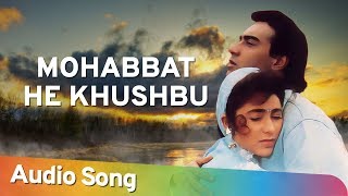 Mohabbat He Khushbu  Jigar 1992  Ajay Devgan  Karishma Kapoor  Mohammad Aziz Collection [upl. by Ardnauq]